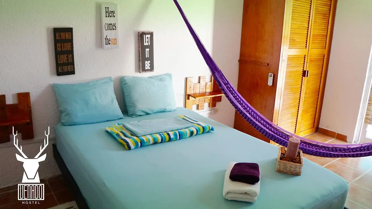 Venado Hostel Cancún