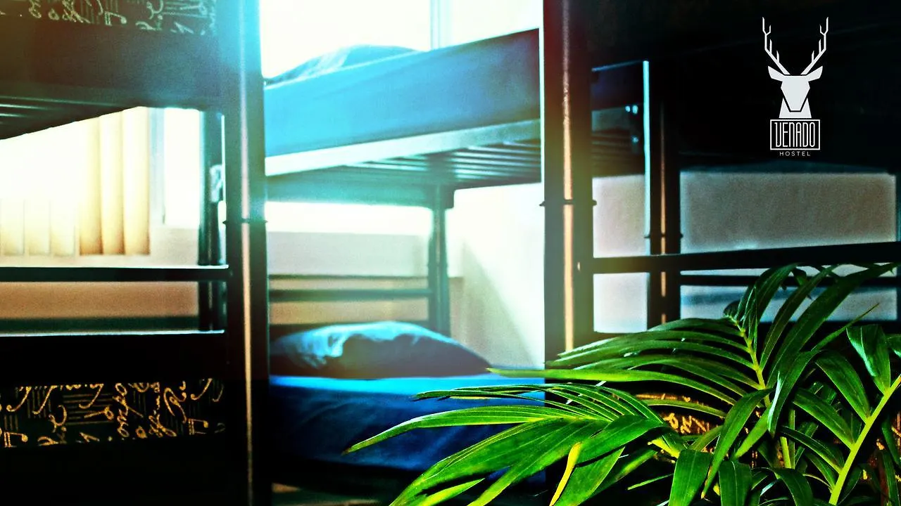 Venado Hostel Cancún México