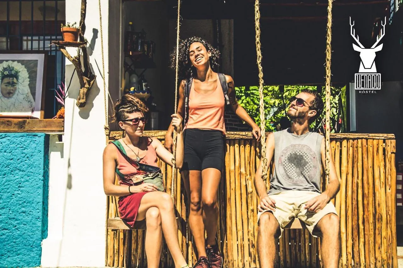 Pensión Venado Hostel Cancún